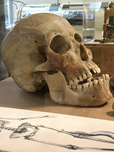 Museum of Medical History